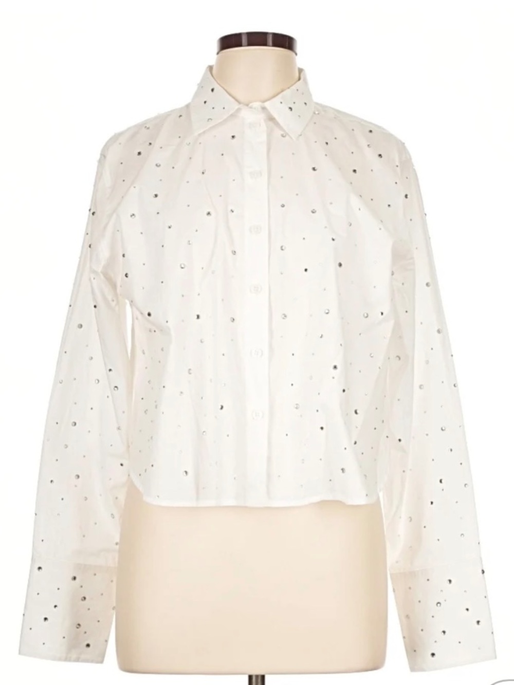 J.Crew Rhinestone Embellished  Button-Down Shirt